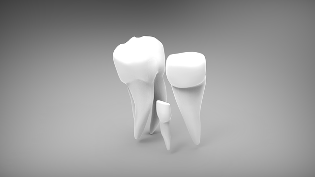 zdravé zuby po celý život